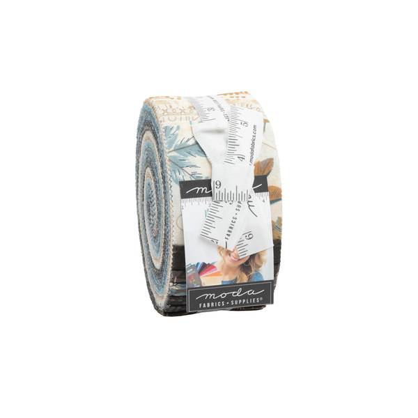 Bilde av Jelly Roll - Decorum