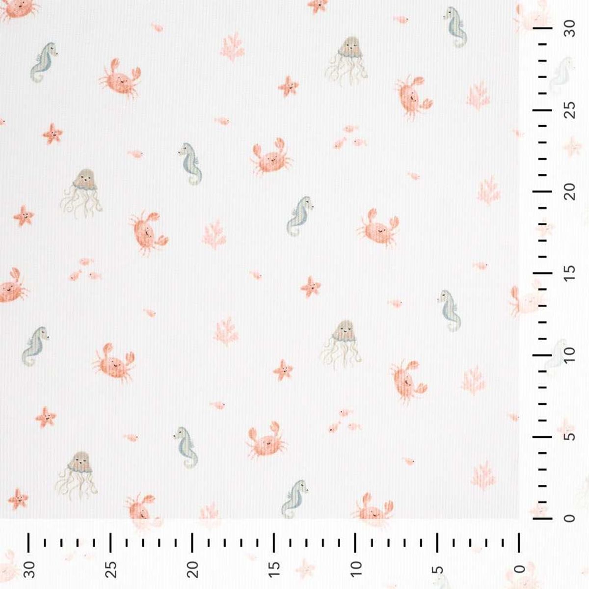 Ribbjersey – sjødyr på hvit