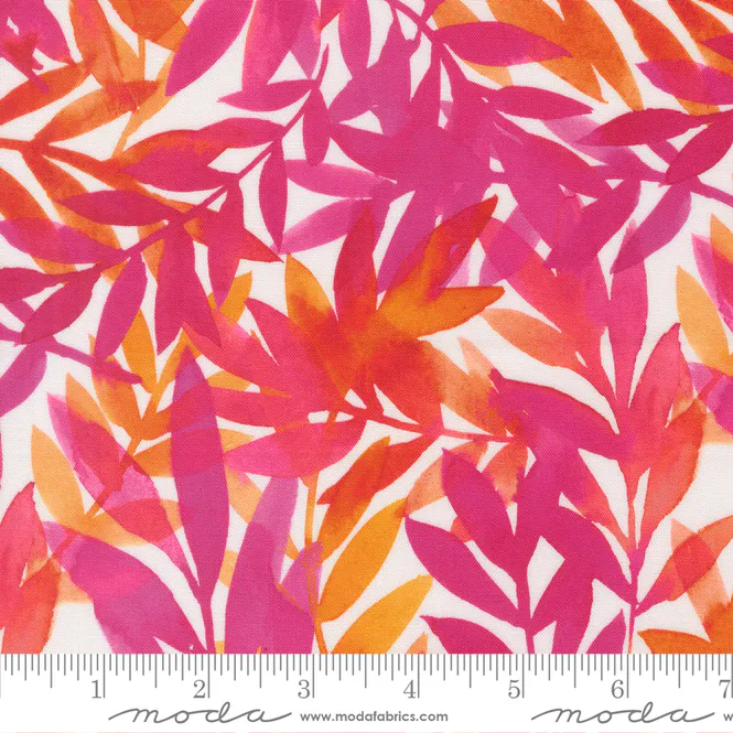Hovedbilde Radiant -  sterk rosa blader