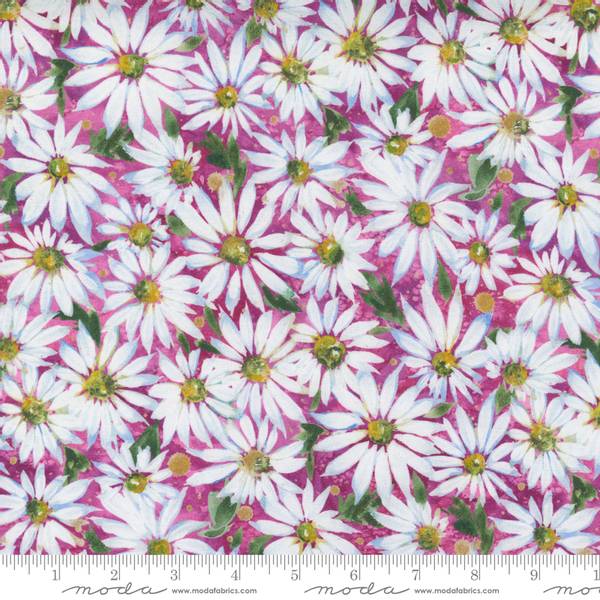 Bilde av Fresh as a Daisy - margeritter på rosa